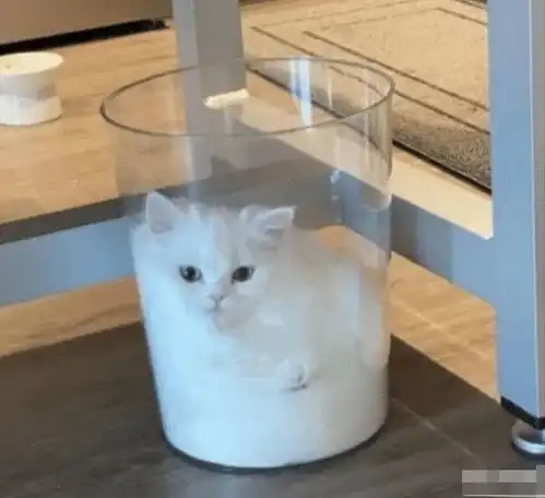  第一次和女朋友同居,做饭的时候她都穿得这么不正经哈哈哈哈