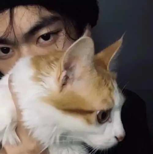  2023最新拥抱宠物暖心男生头像