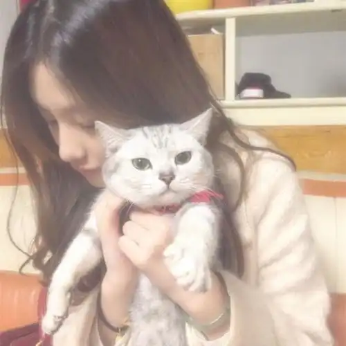  明明想谈恋爱,却容易被当成朋友的三大星座男