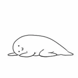  抖音怎么能迅速涨粉你知道吗