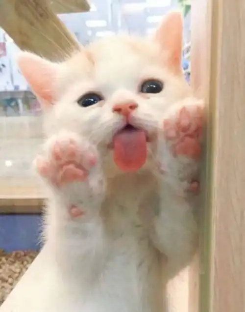  哈哈哈哈哈哈哈哈