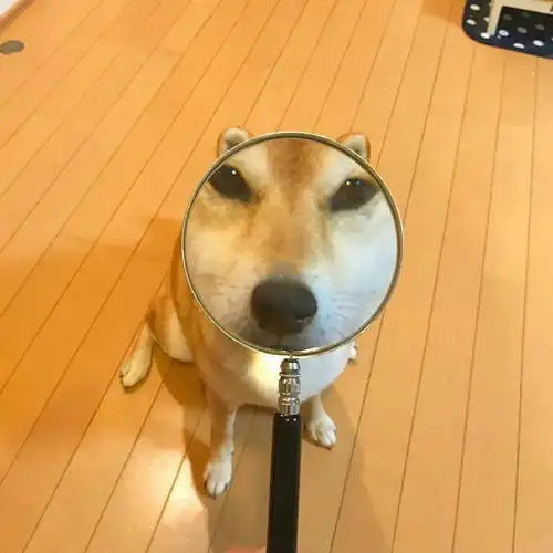  有没有那种既沙雕又成熟的头像