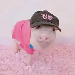  一波情头丨爱情里最重要的