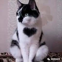  笑什么笑朕长这样也不是自愿的呀