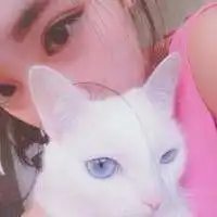  好看的抱着猫咪的情侣头像一男一女