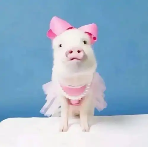  情侣头像但愿余生都是你