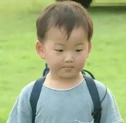  表情包宋民国终于长大,小短腿变身大长腿,还是长残了