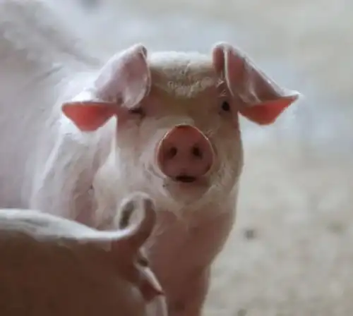  看了场电影回来,杭州一对小情侣全身瘙痒长满红疹最近不少人中招