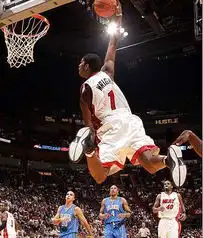  詹姆斯韦德领衔40大扣篮热火三巨头缺一姚明入围