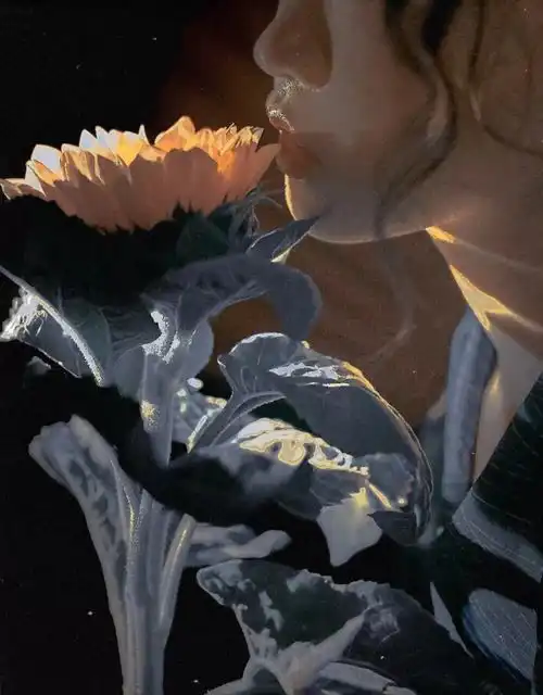  做人,不讨好他人,不解释自己,不勉强感情,不将就人生