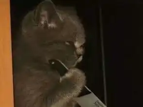  这个是个cp头像..只有这一张求另一半的那张