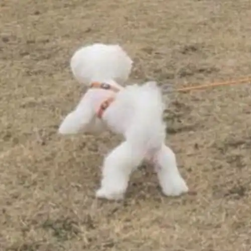  超温柔超甜的朋友圈文案情头