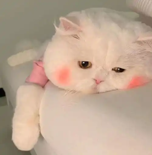 改变那些糊弄人生的人怎么样了