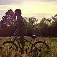  早上太阳图片大全大图微信头像图片大全