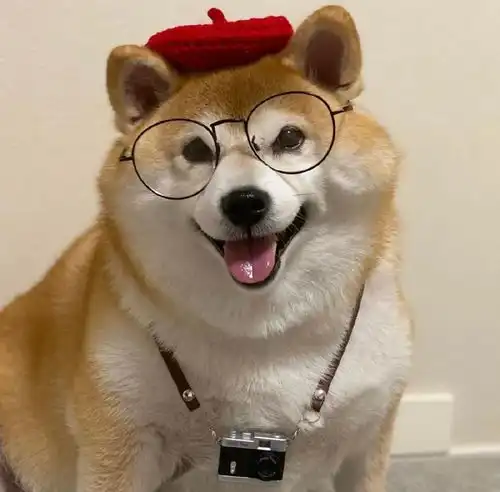  幽默搞笑个性头像,挑你喜欢的188