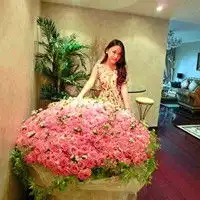  玫瑰美女头像花语的浪漫