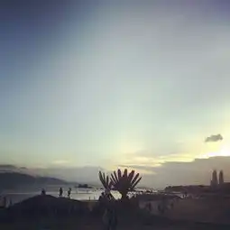  厦门游记--蚂蜂窝