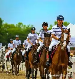  寒冷冬夜里马场发生的事儿