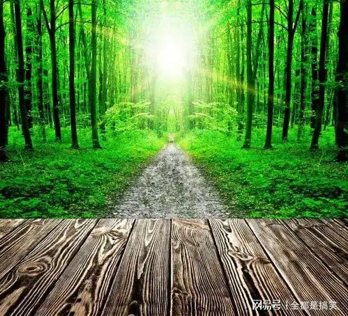  下个月,回忆多情,缘分无意,不再被爱情眷顾的4大星座