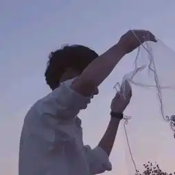  找这图的另一张