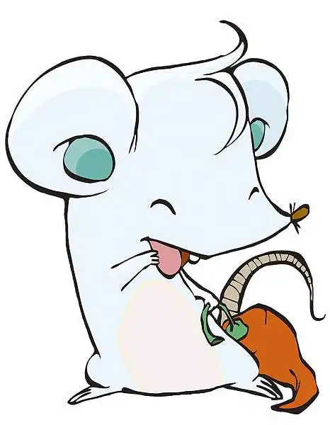  鼠年之人2018年的命运势,太全了,精准版