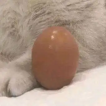 微信头像超好看的仙女闺蜜头像,这组头像简直太赞了