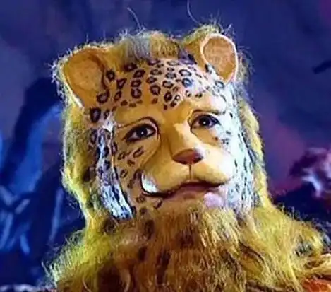  西游记金钱豹富谐音梗,头像包已整理好,拿去使用