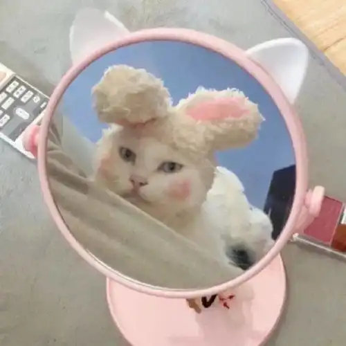  头像壁纸你的头像该换啦这50张美绝了,心情好爆整个春夏