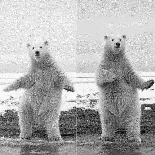  我只要你爱我伴奏酷我k歌酷我音乐