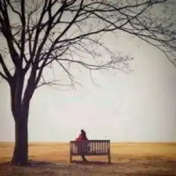  谁有这张情侣头像的另一张