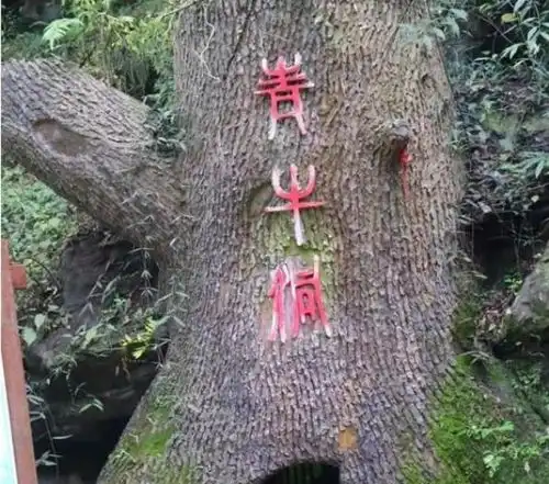  南阳海川吉利车友老君洞自驾游活动