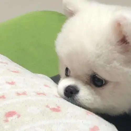  来康康敲好看微信头像