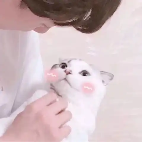 似乎我的春天也到了呢