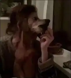  这些错位照太让人浮想联翩了,拍照技术简直无敌了哈哈哈哈