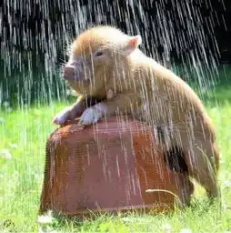  北京520当天百对情侣在798宣誓分手