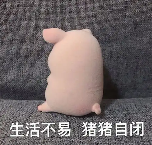 可爱小猪表情包来,靠我厚实的胸膛