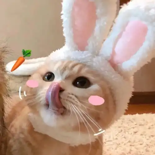  情侣头像一对两张女生给男生套上小皮筋暗示着什么