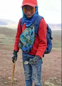  疯狂虫草淘金的背后