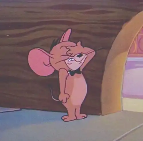  汤姆和杰瑞的友谊,猫和老鼠