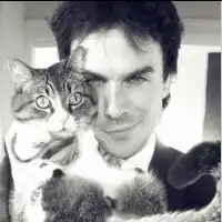  qq情侣男女一人一张头像