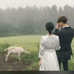  宠爱虐狗的高清情侣大图