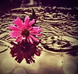  依赖,除了另一半,异性朋友也会,有爱情的成分吗