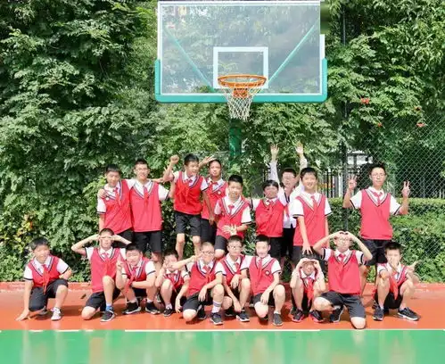 今年夏日的毕业季,依然明媚