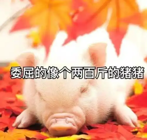  拼了据说这样收快递会更快一些