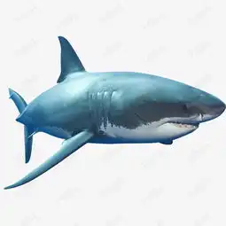  卡通手绘蓝色的鲨鱼素材图片免费下载高清png千库网图片编号11346397