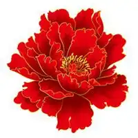  微信头像红色牡丹花微信头像图片大全