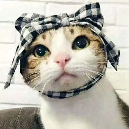  情侣头像此生最美的风景