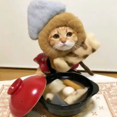  高清两个猫咪的情头图片