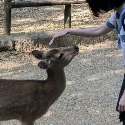  情头对象不是人系列.山河之广情侣头像我要个性网
