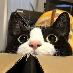  从月薪4000到月入2万,我只用了半年你拼命奋斗依然没钱也许就差在这里